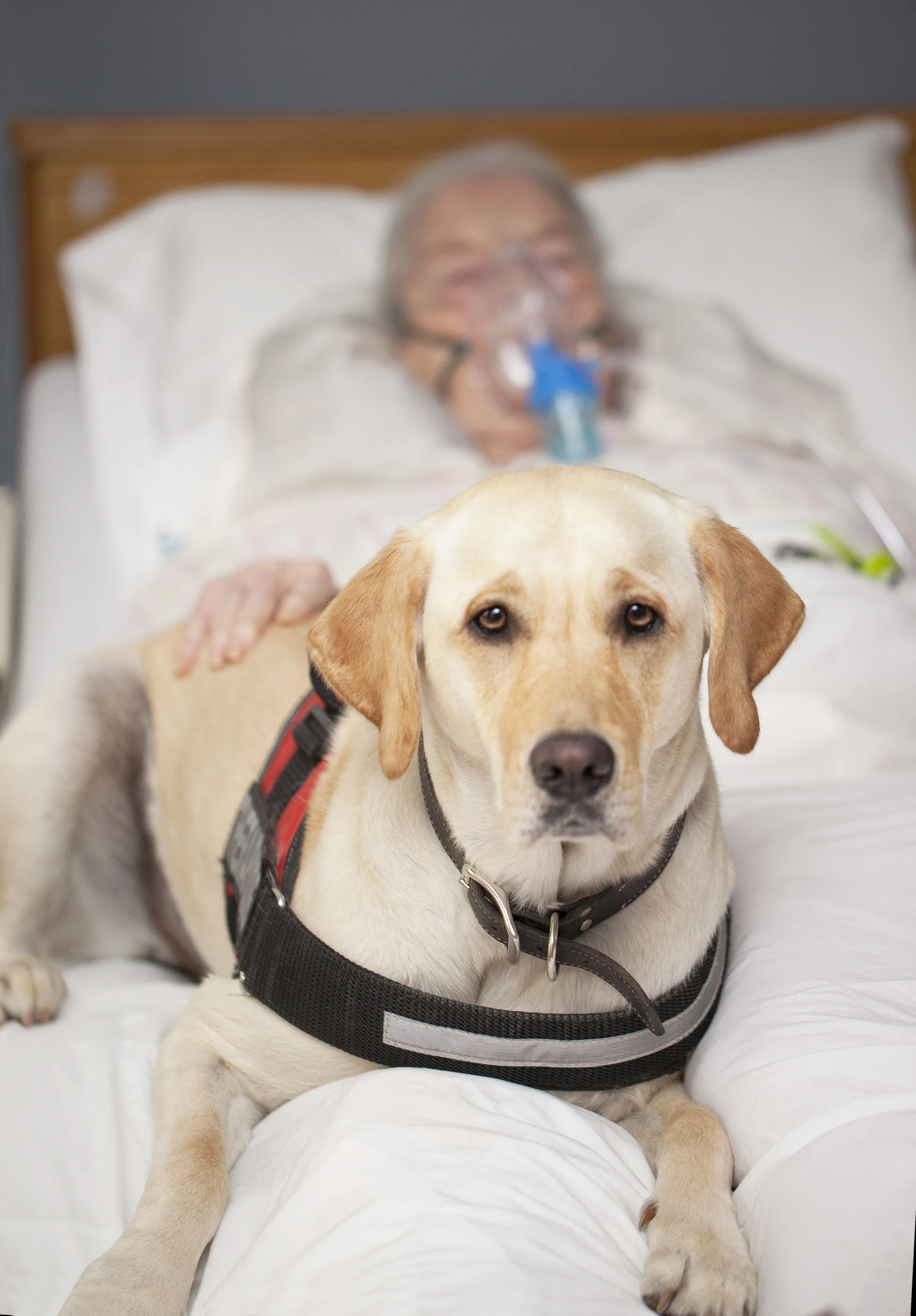 Lana On Bed_8574.jpg