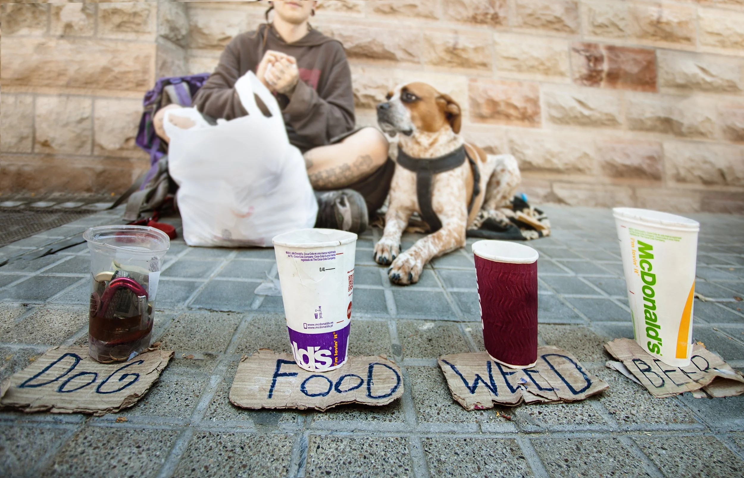 Panhandler & Dog_9994-1.jpg