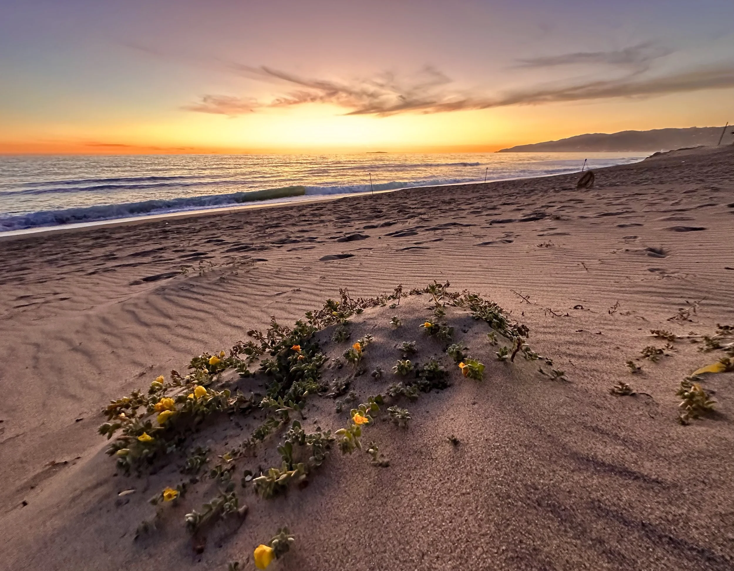 Malibu, California, USA