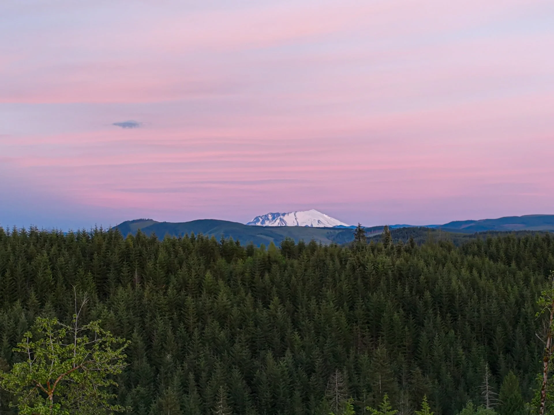 Vacant Land & Property Consultation