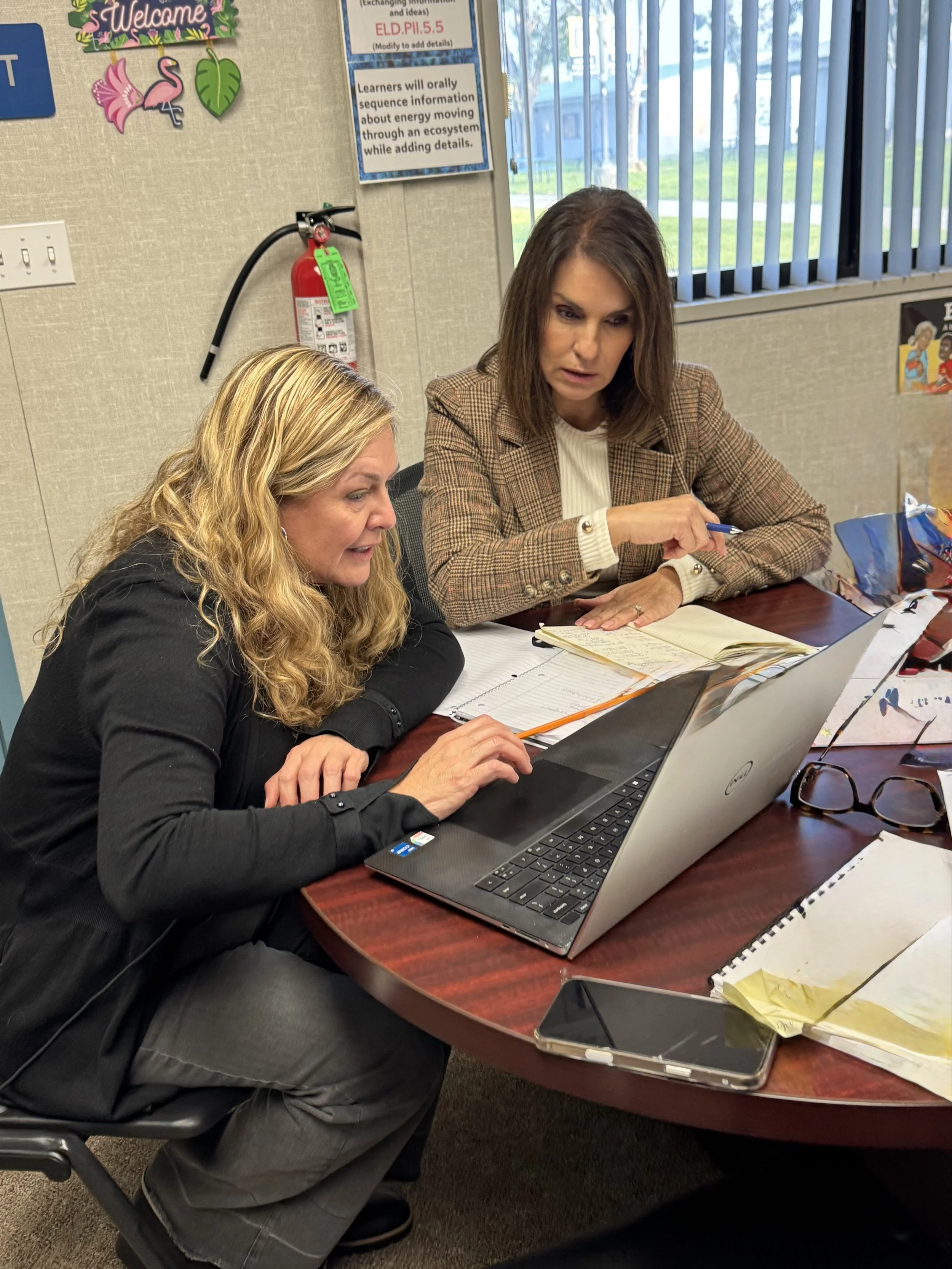 In this mentor and mentee coaching session Dr. Lori is working with a principal to achieve organizational excellence and promote leader effectiveness and well-being. 