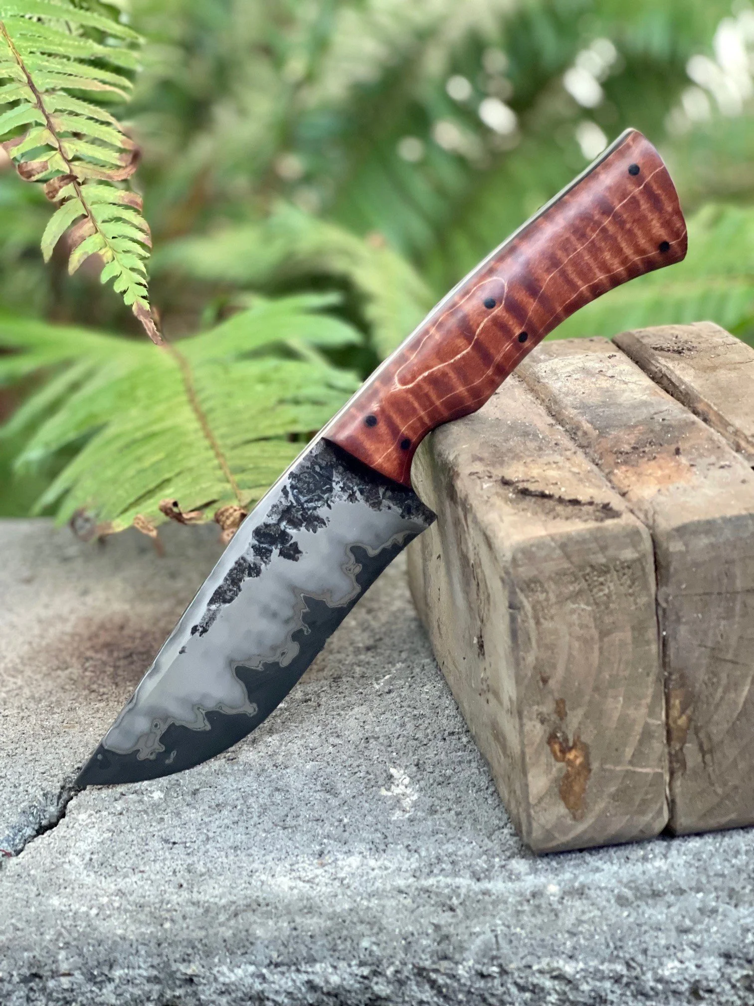 e42692e8-416c-4b1e-b7e9-e5520c7a2c32.jfif