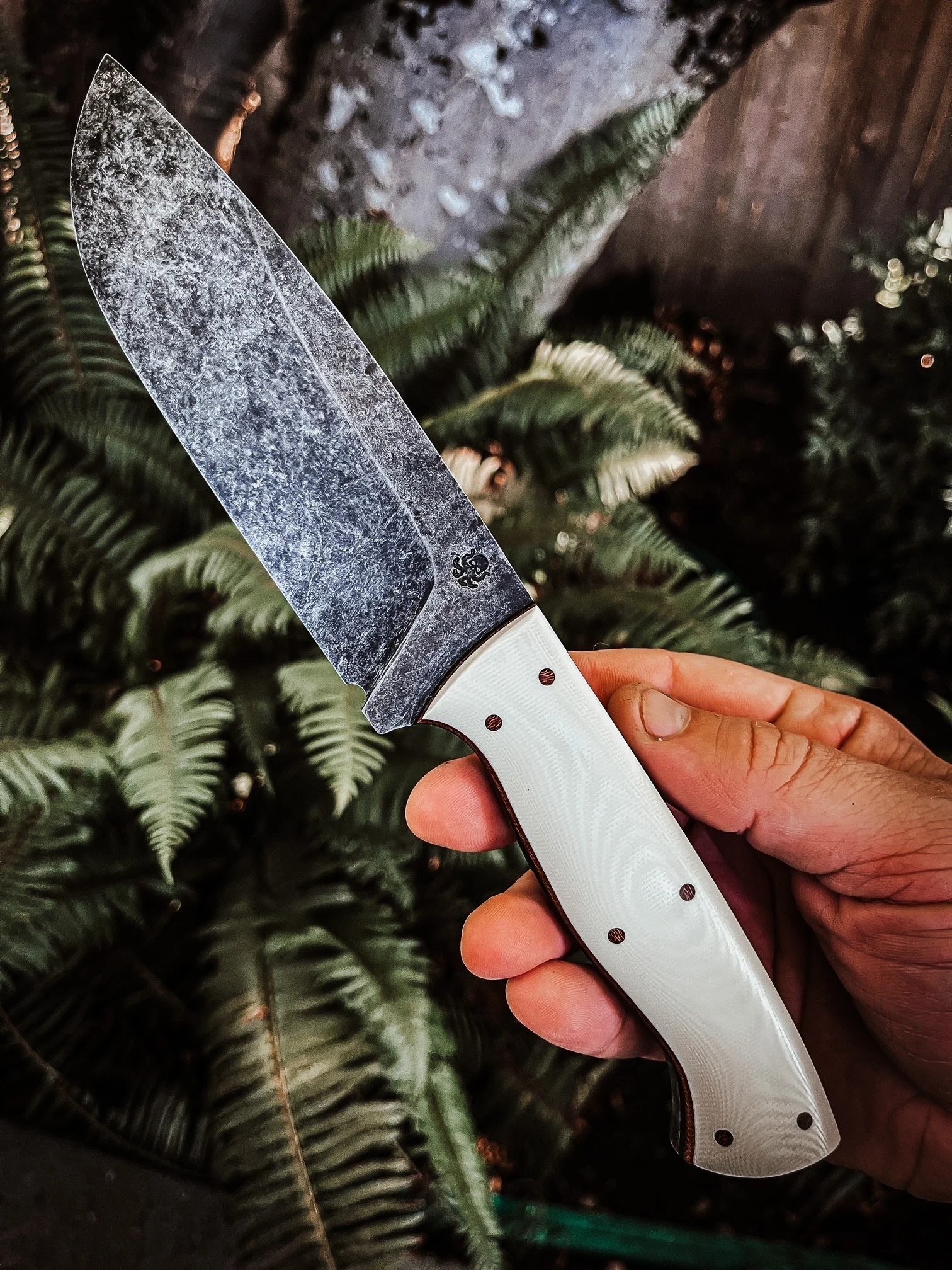 c9e8f13d-ae22-4389-a4da-65a31b7809e8.jfif