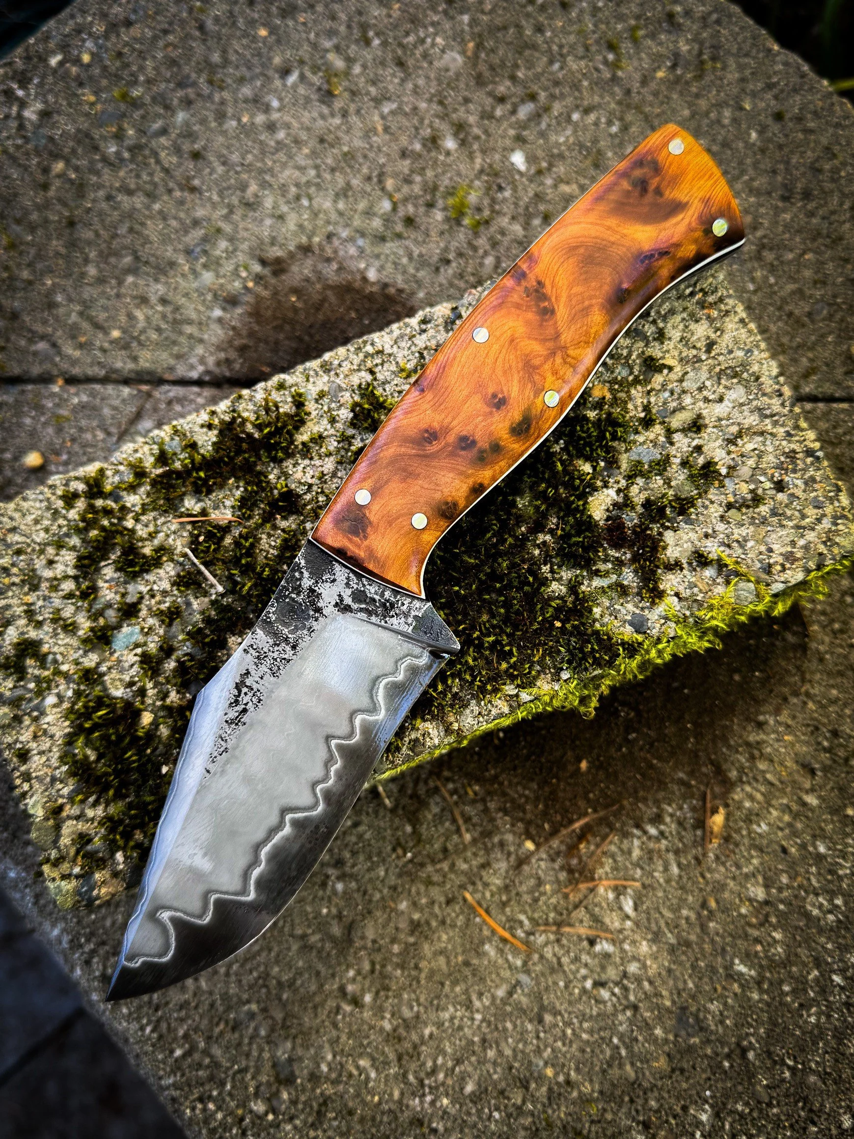 4ecbf66a-eabc-4b55-bb2e-ec0ae83fdba1.jfif