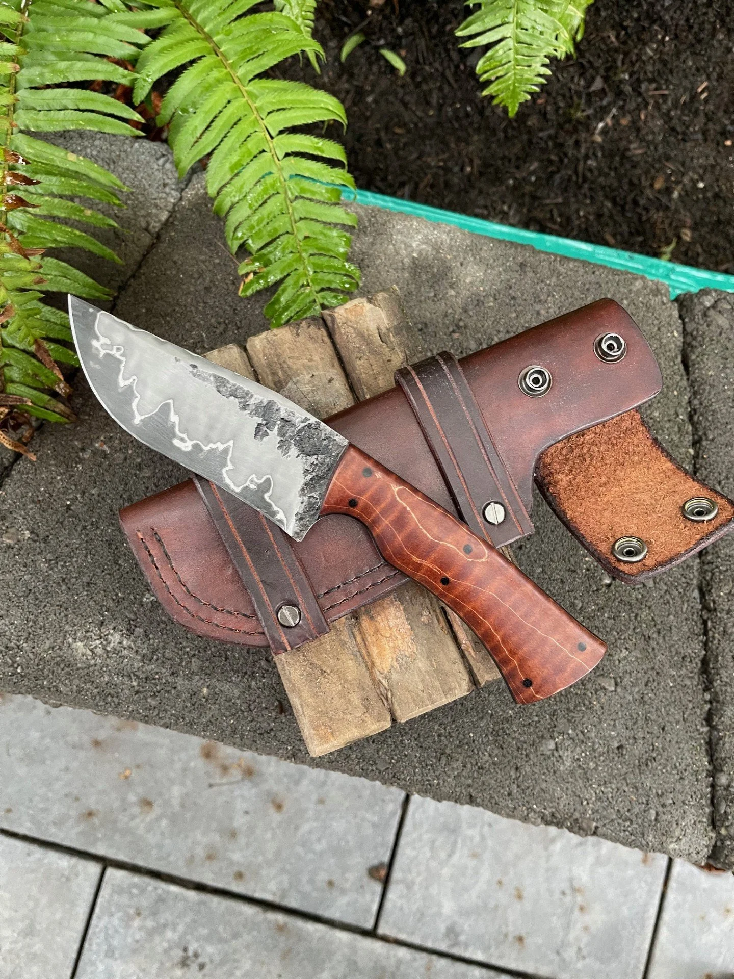 75eced92-25d8-45e9-996e-ed2587e38563.jfif