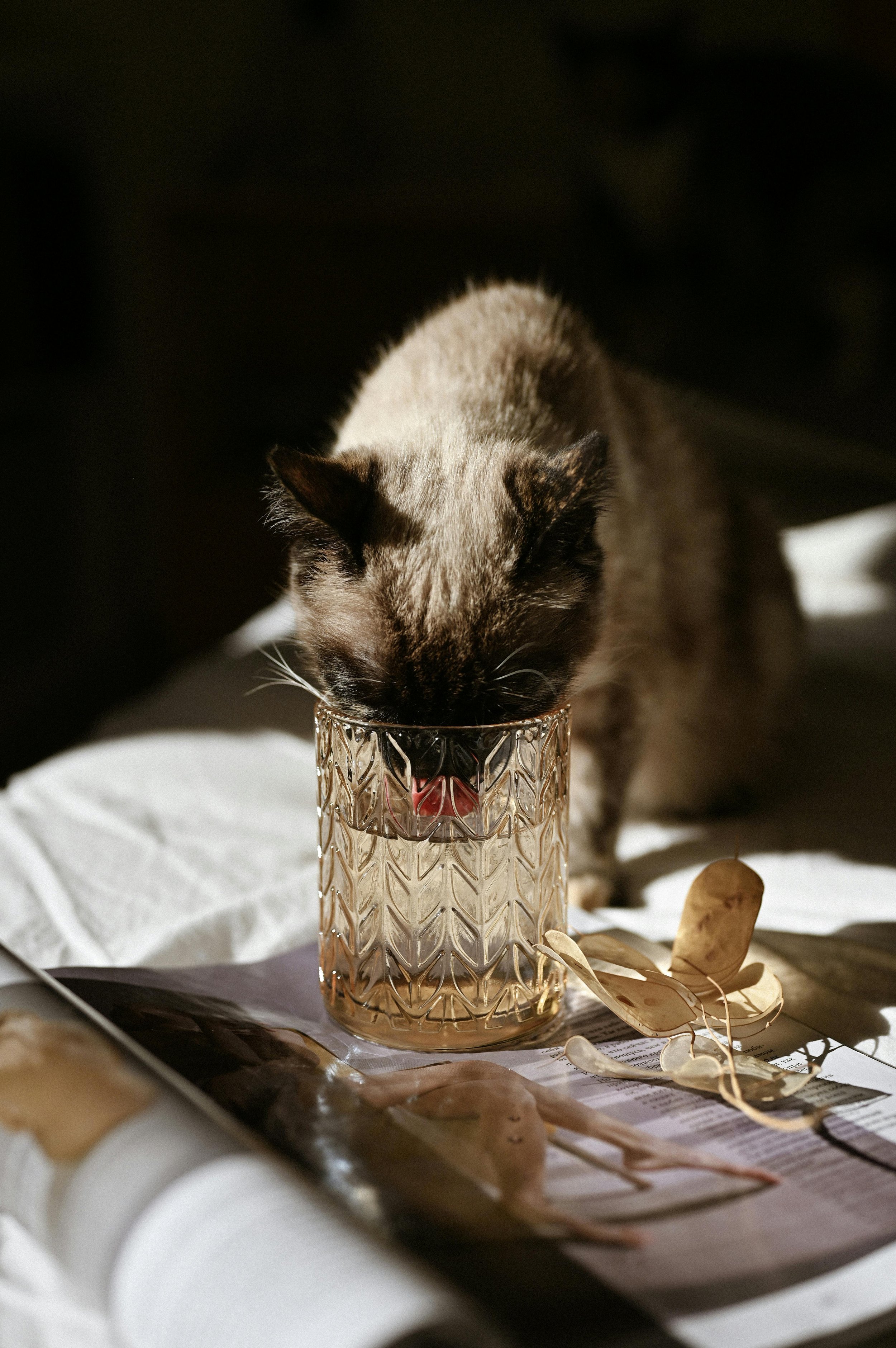 Nahle Fresh - Pet Water