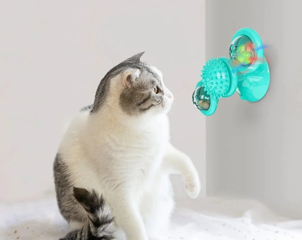 Spineroo 1.0