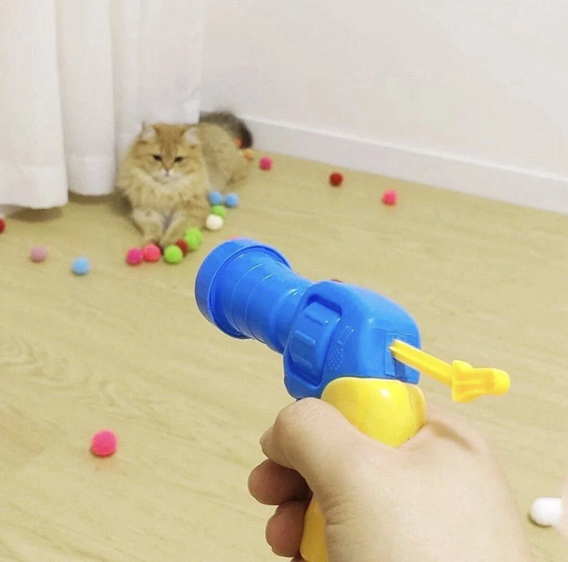 cat shooter 3.webp