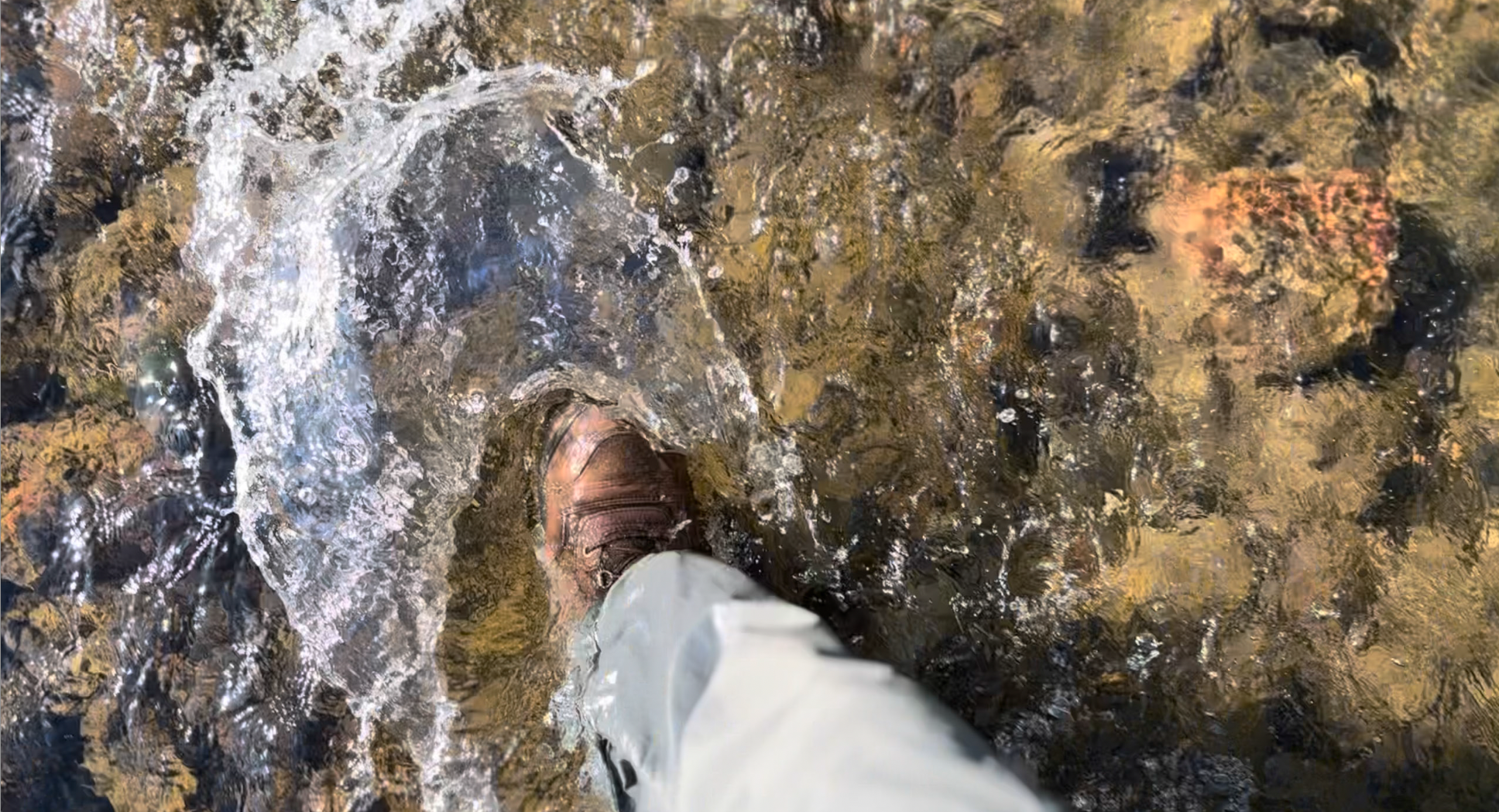 River Walker.png