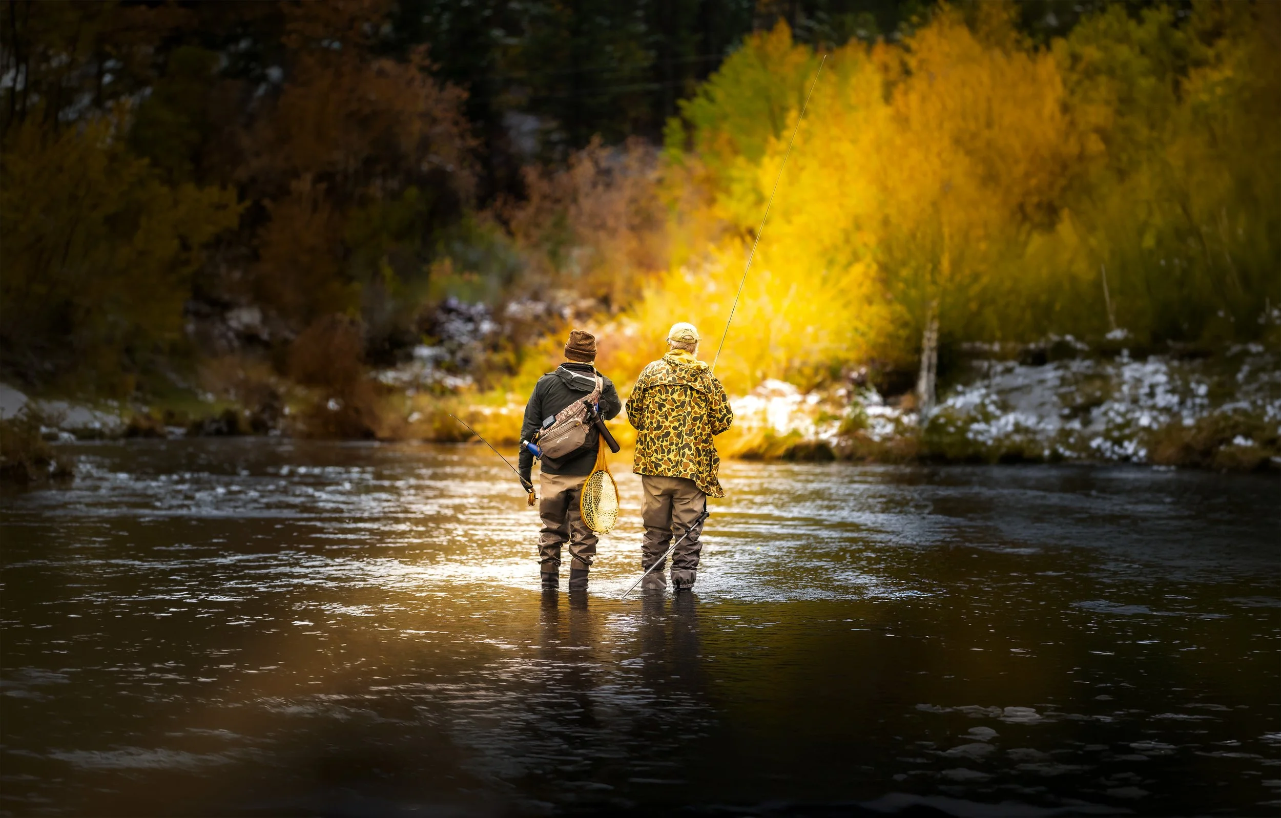 two men fly fishing on river in the fall with golden leaves