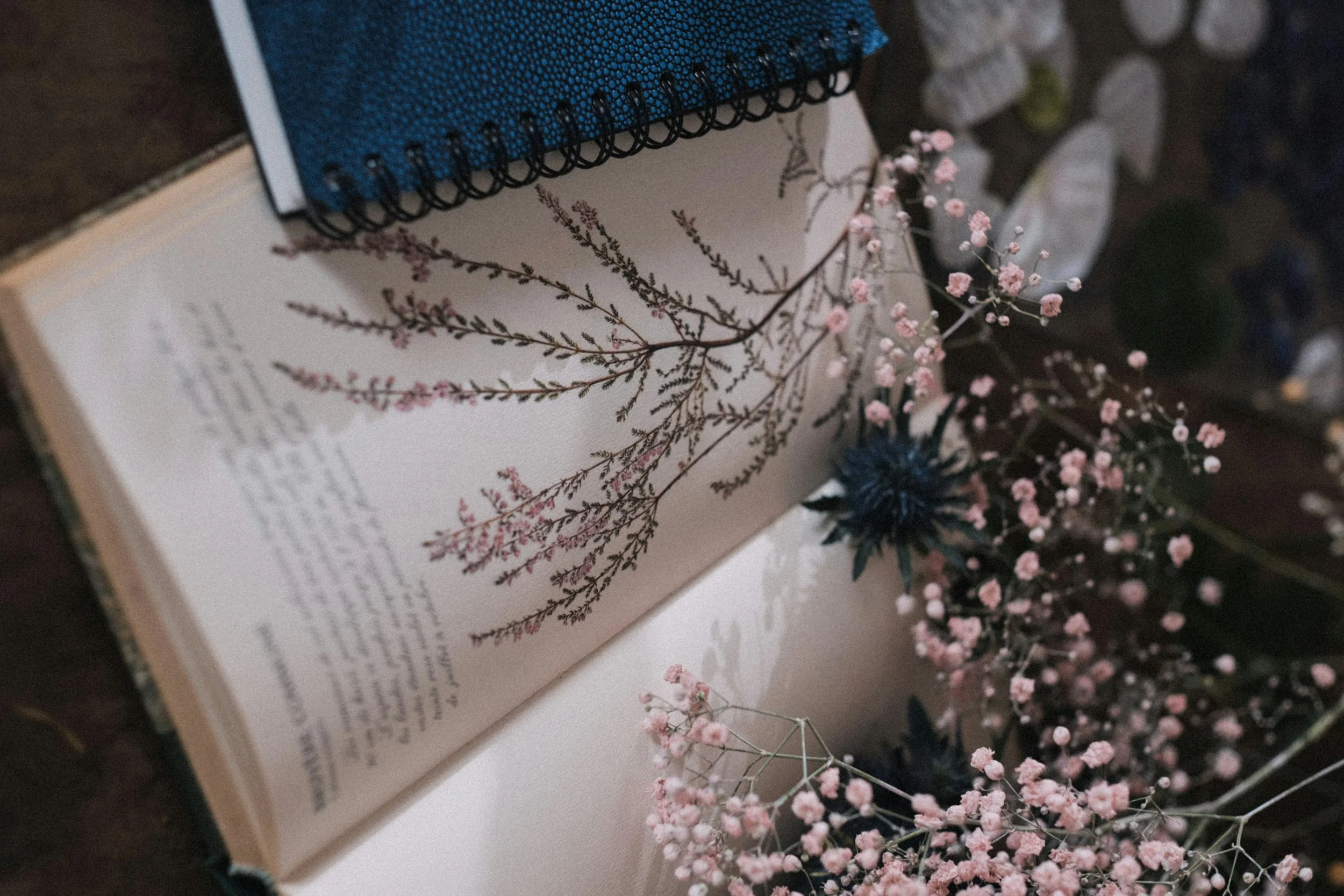 Open book with botanical illustrations and handwritten text, surrounded by pink and dark blue flowering plants and foliage, on a dark wooden surface.