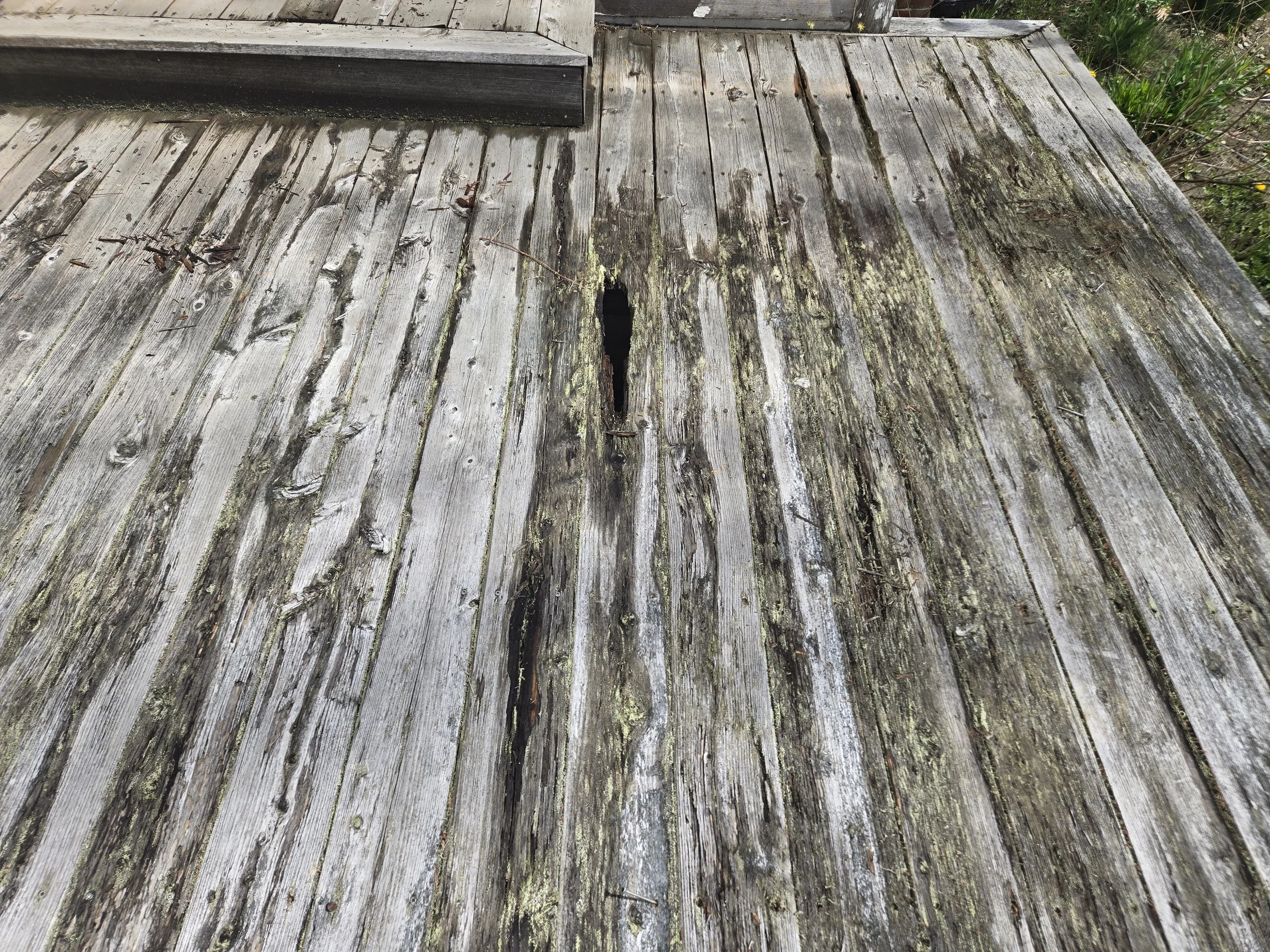 Weathered wooden deck with a large hole in the center, some moss and dirt on the surface, and green grass nearby.