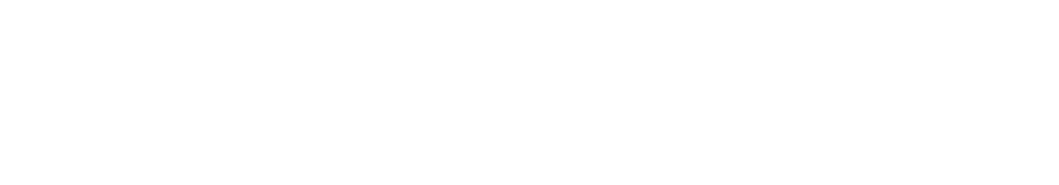 Boomerang Information Services