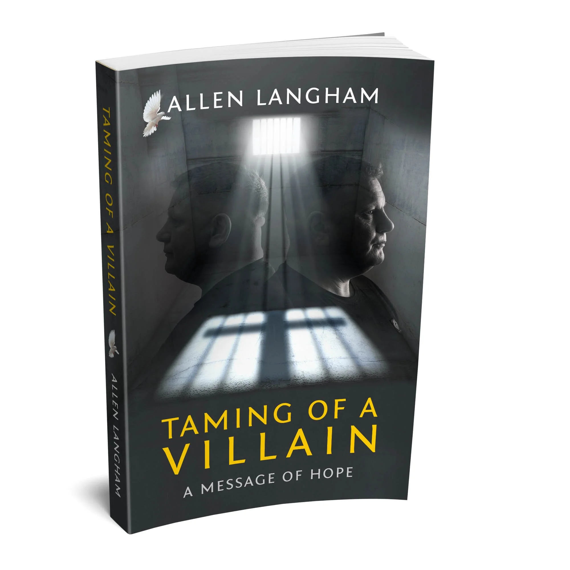 Book cover of Taming of a Villain by Allen Langham