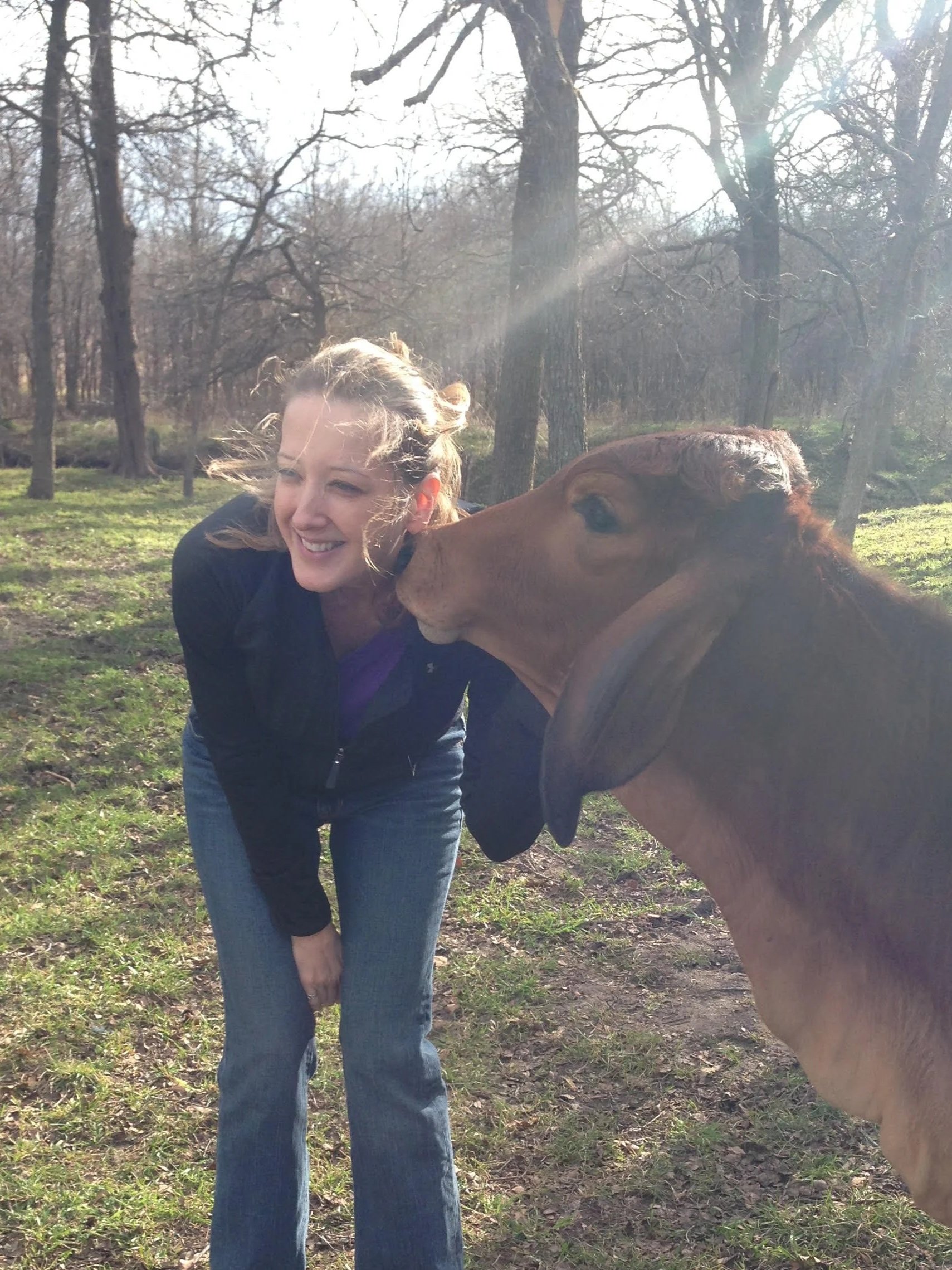 A woman leaning forward and smiling as a cow nuzzles her cheek in a wooded area on a sunny day.