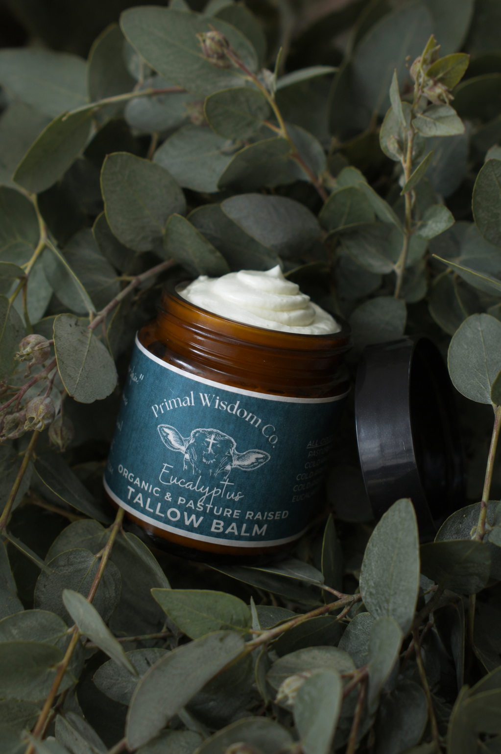 Eucalyptus 2.png
