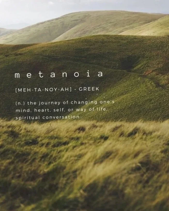 Metanoia+-+Field+and+Description.jpg