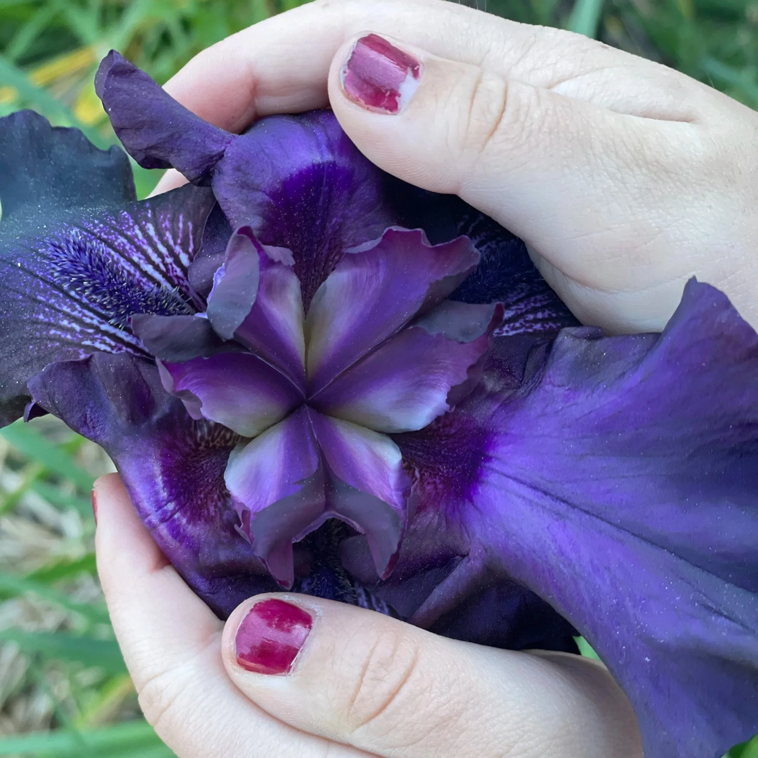 Make Room for Growth