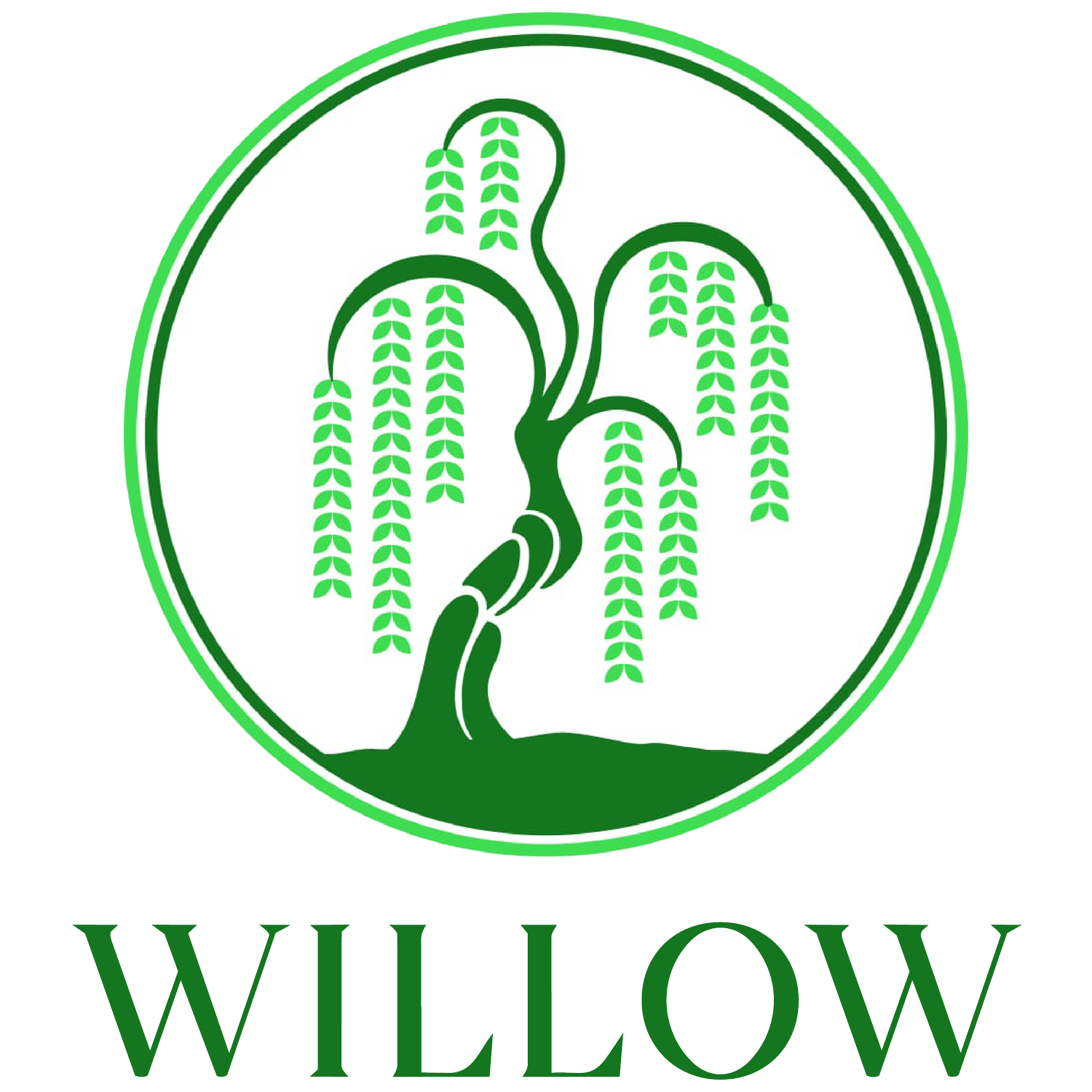 Willow Learning Centre