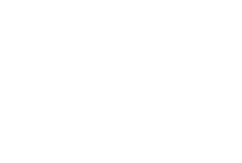 Mini and Muse