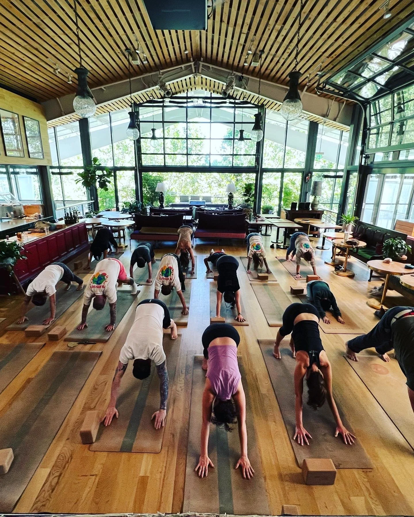 corporate yoga  in Sonoma an Napa Counties for corporate wellness activities