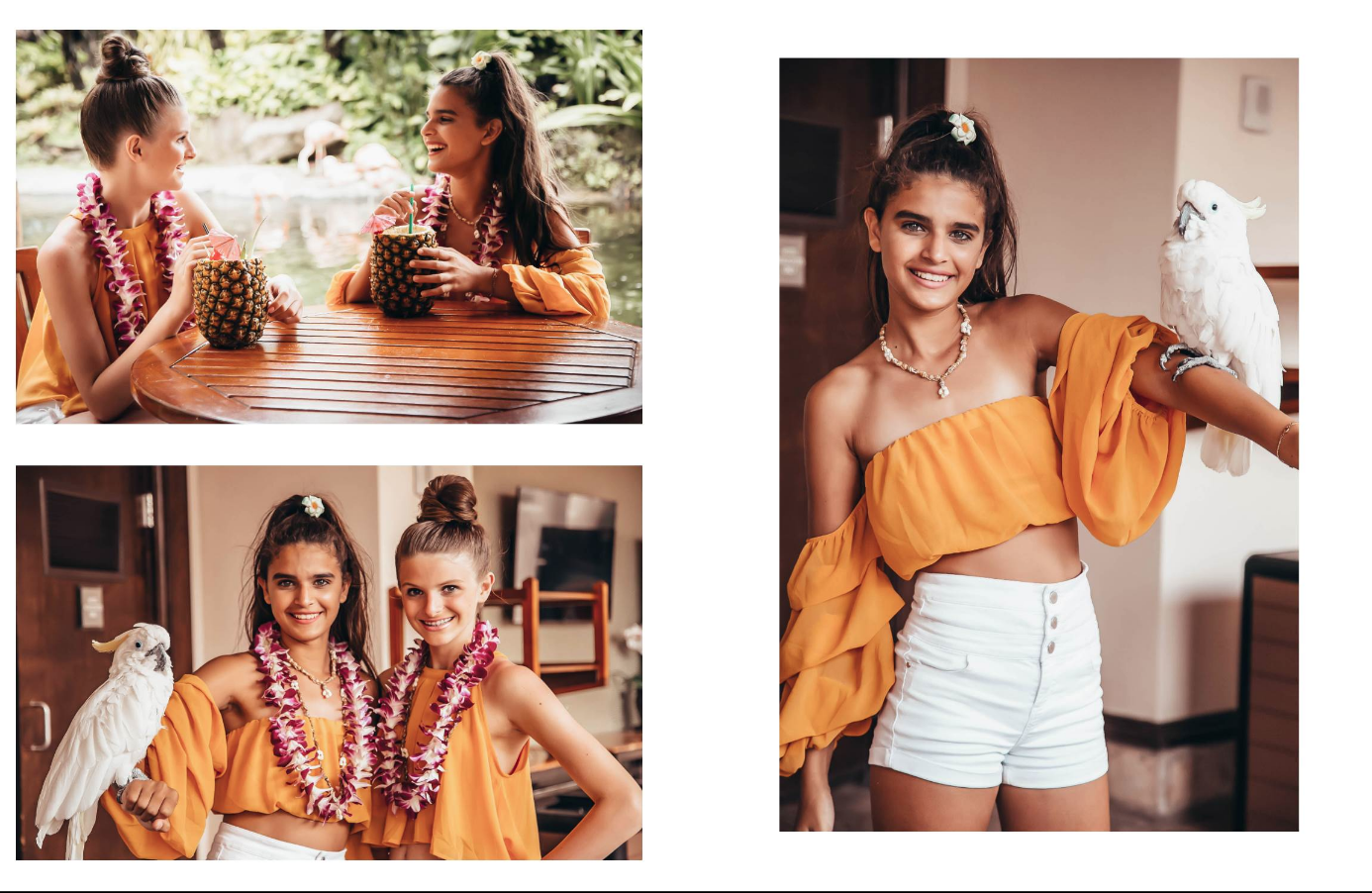 Screen Shot 2020-10-12 at 9.56.46 AM.png