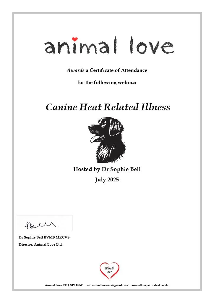 Certificate of attendance for a webinar on canine heat-related illness, hosted by Dr. Sophie Bell, July 2025, featuring a black and white illustration of a dog and a small red heart in the title.