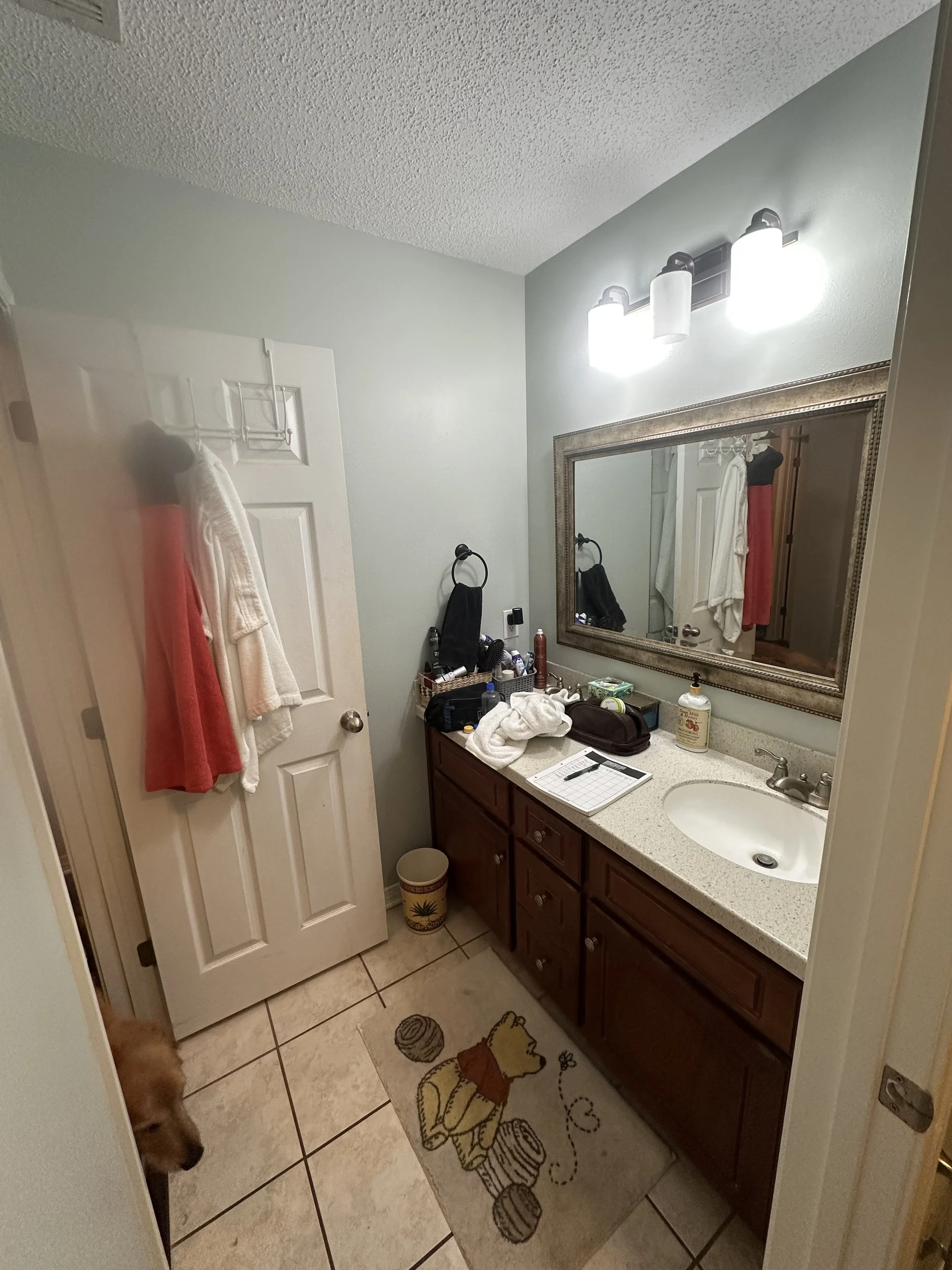 IMG_6898.jpeg