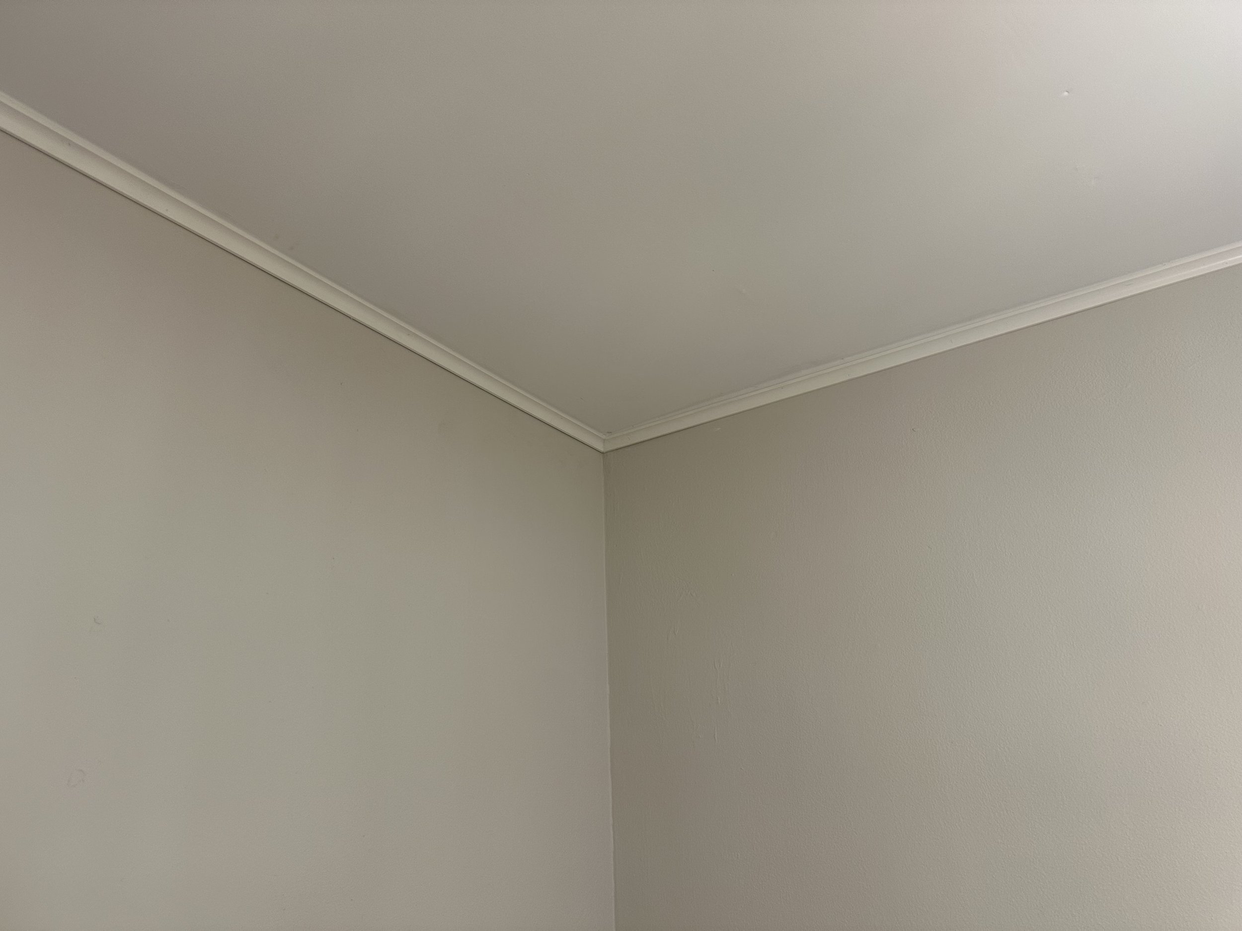 IMG_6413.jpeg