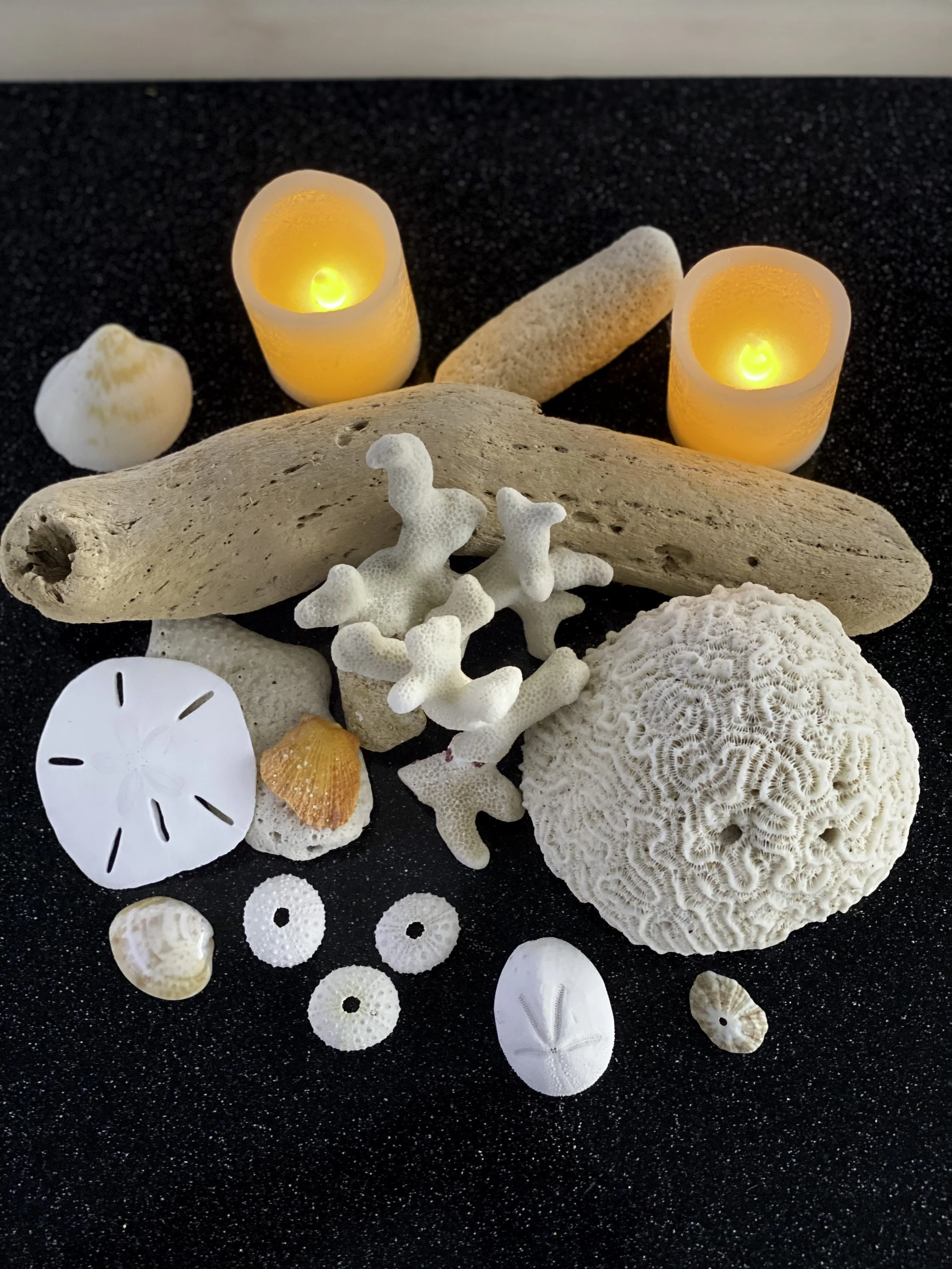 Assorted seashells, coral, and driftwood with two orange candles on a black surface.