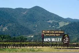 Group Wine Tour &amp; Tasting