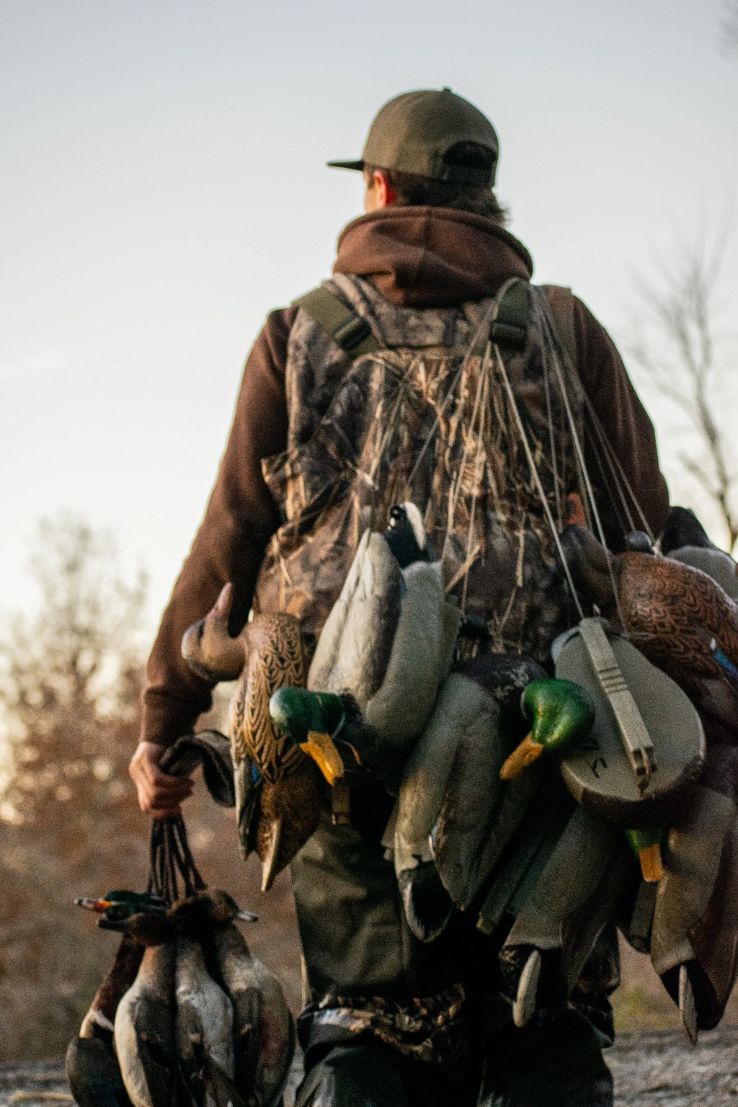 Back view of a person in camouflage and outdoor gear holding ducks, standing outdoors during sunset.