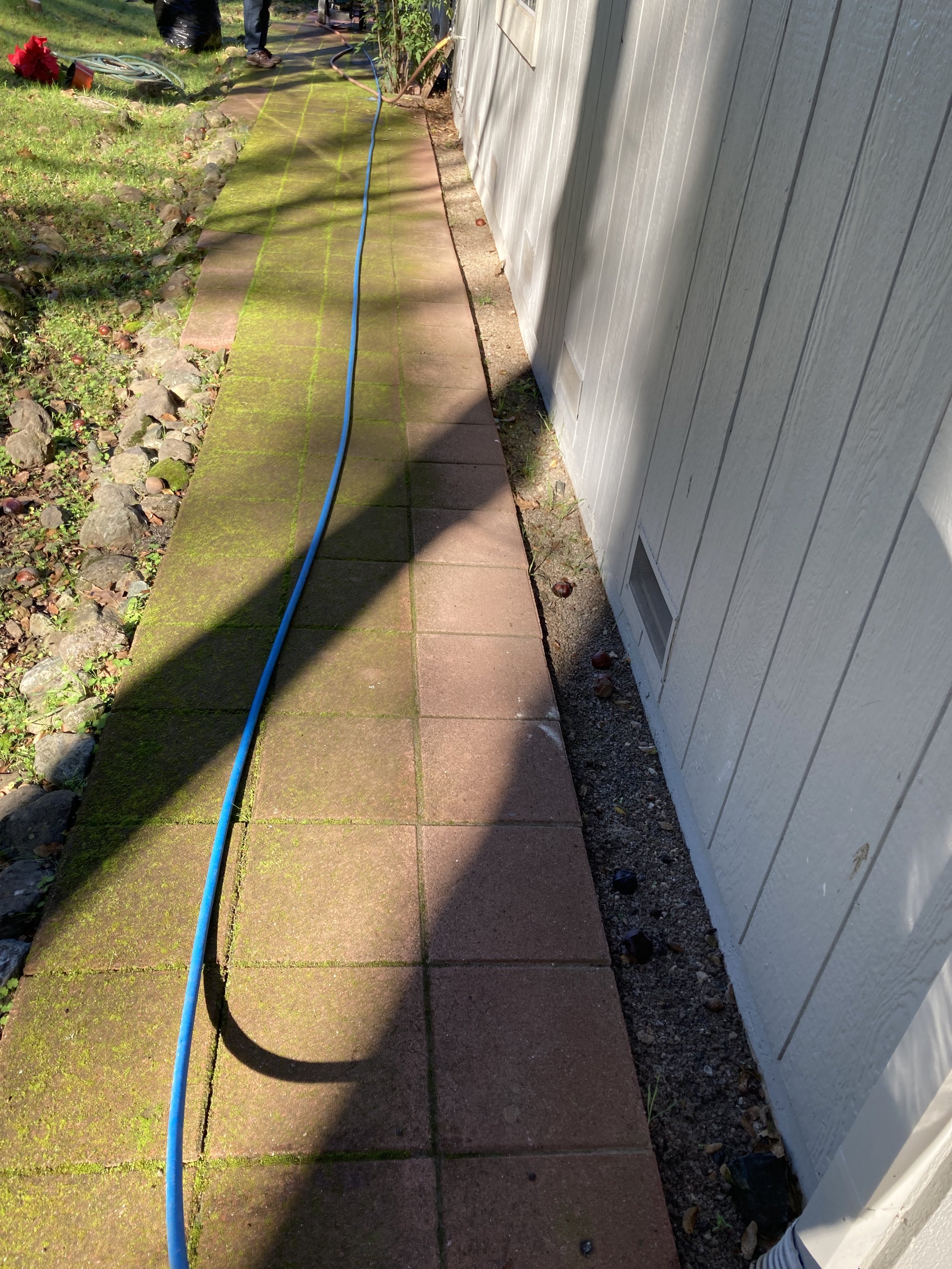 A narrow outdoor walkway with moss-covered paving stones, a blue garden hose running along the path, a gray exterior wall of a building, and a garden area with rocks and plants on the left side. Two people are in the background, though mostly out of view.