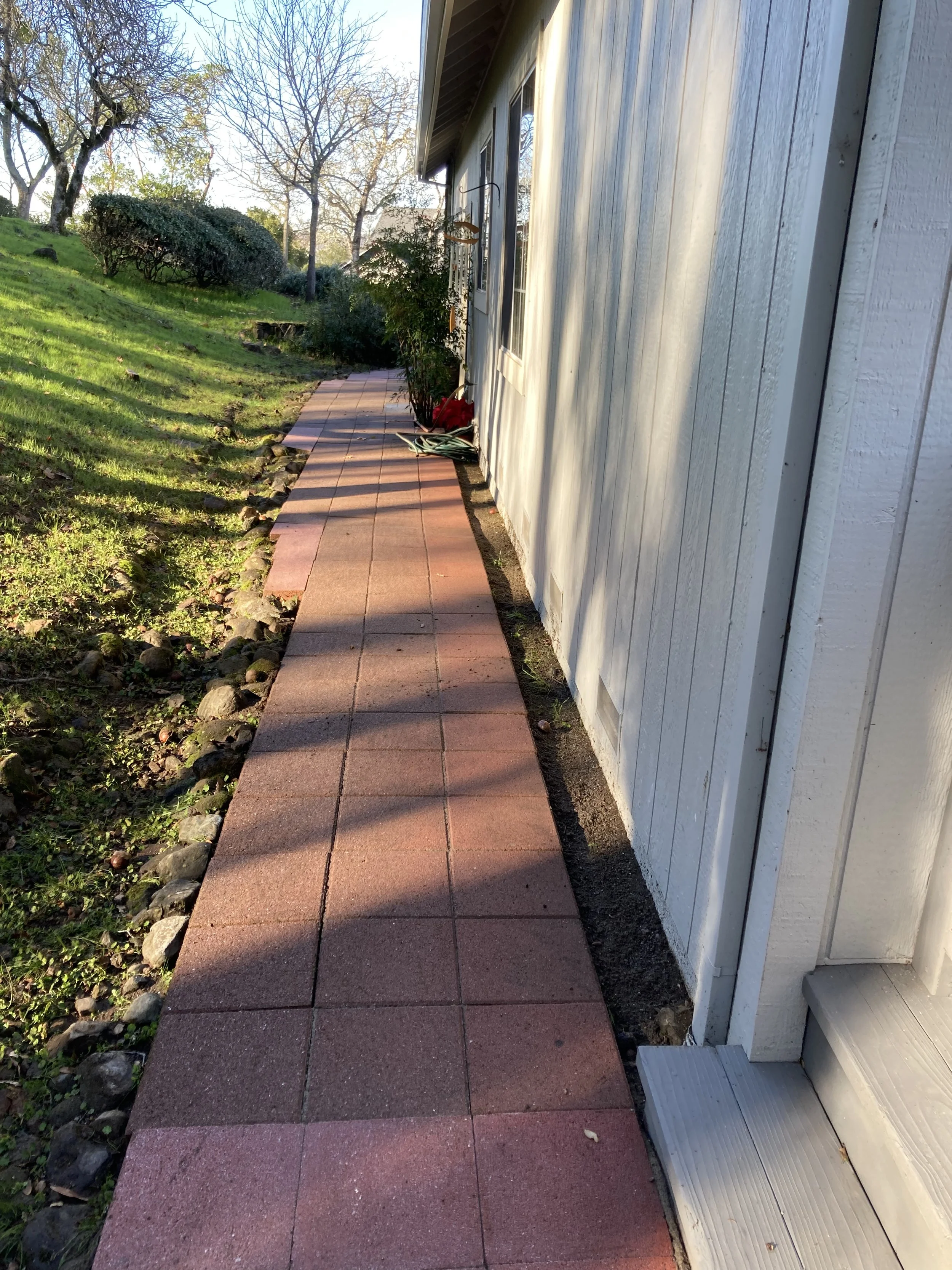 A freshly power washed sidewalk with red bricks running alongside a white house with vertical siding. There are some plants and bushes near the house, and trees and grass in the yard. The sun is shining and the sky is clear.