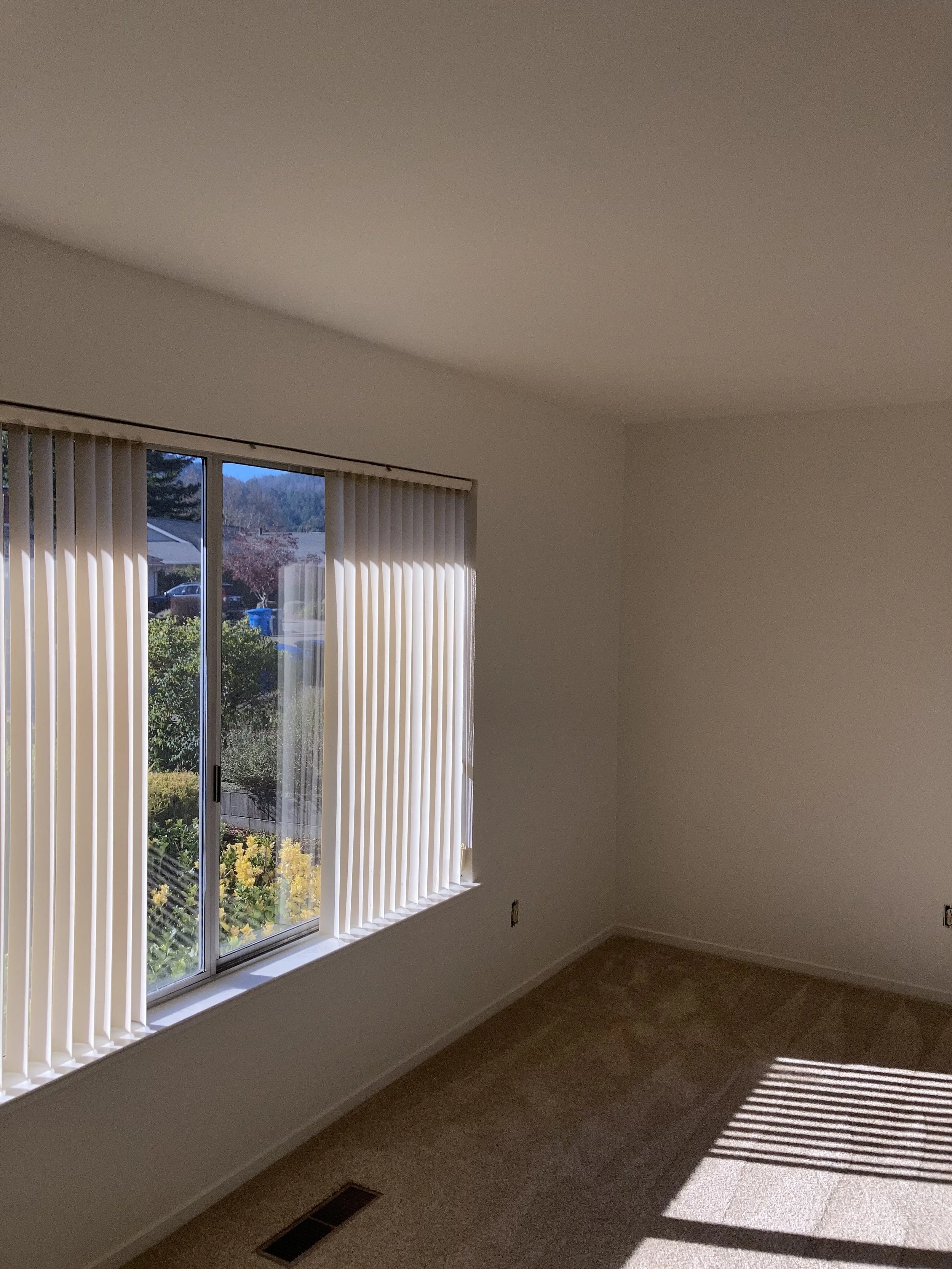 Empty room with beige carpet, freshly painted white walls, a large window with vertical blinds, and sunlight casting shadows on the carpet.