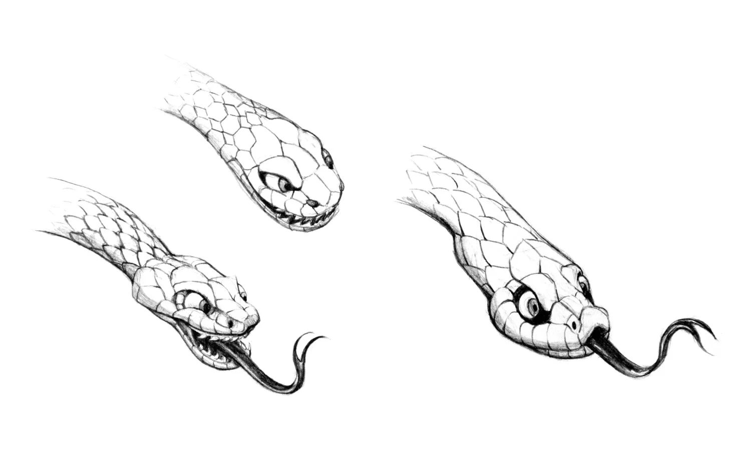 Snake-Designs.jpg