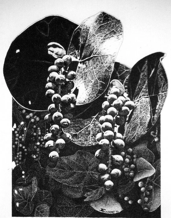 Black and white art of leaves and berries, arranged in a cluster.