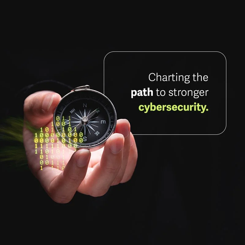 PSPro-External IT Expertise-Ad-04-800x800.jpg