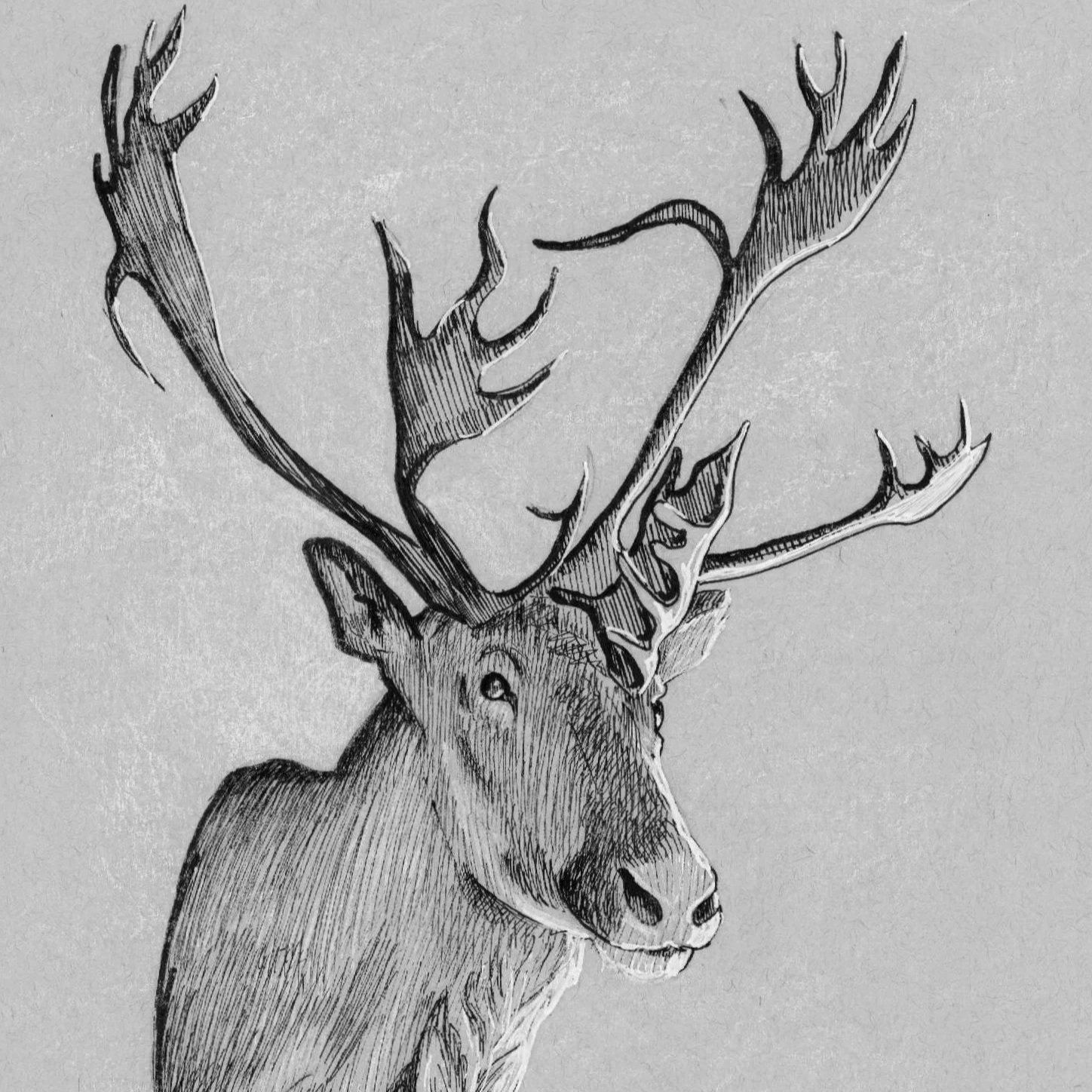 Reflection on “Goodbyes”