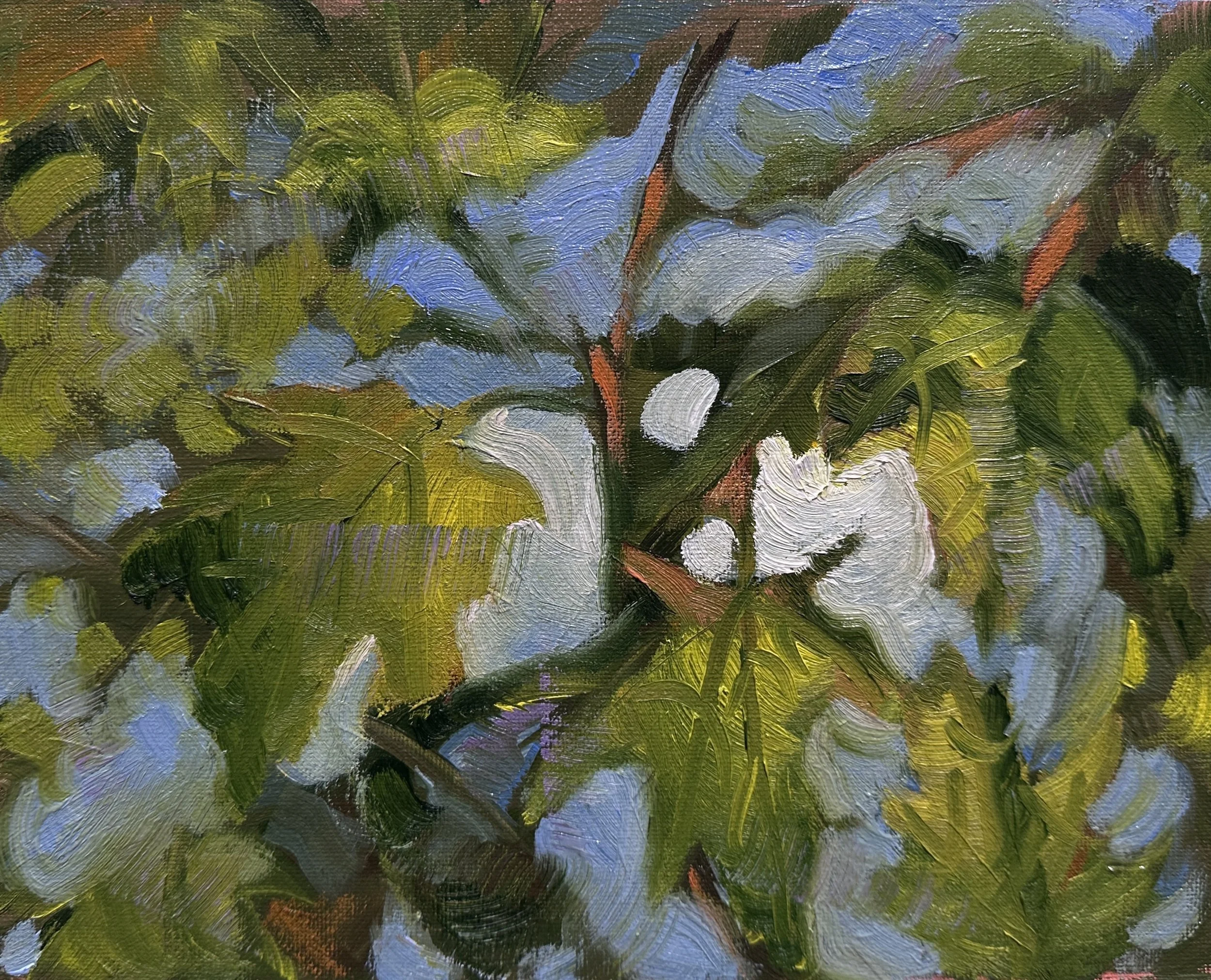 A Break from Painting