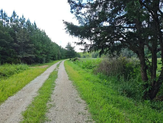 Rockfish River Rumble