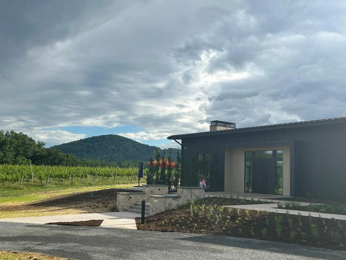 Hark Vineyards