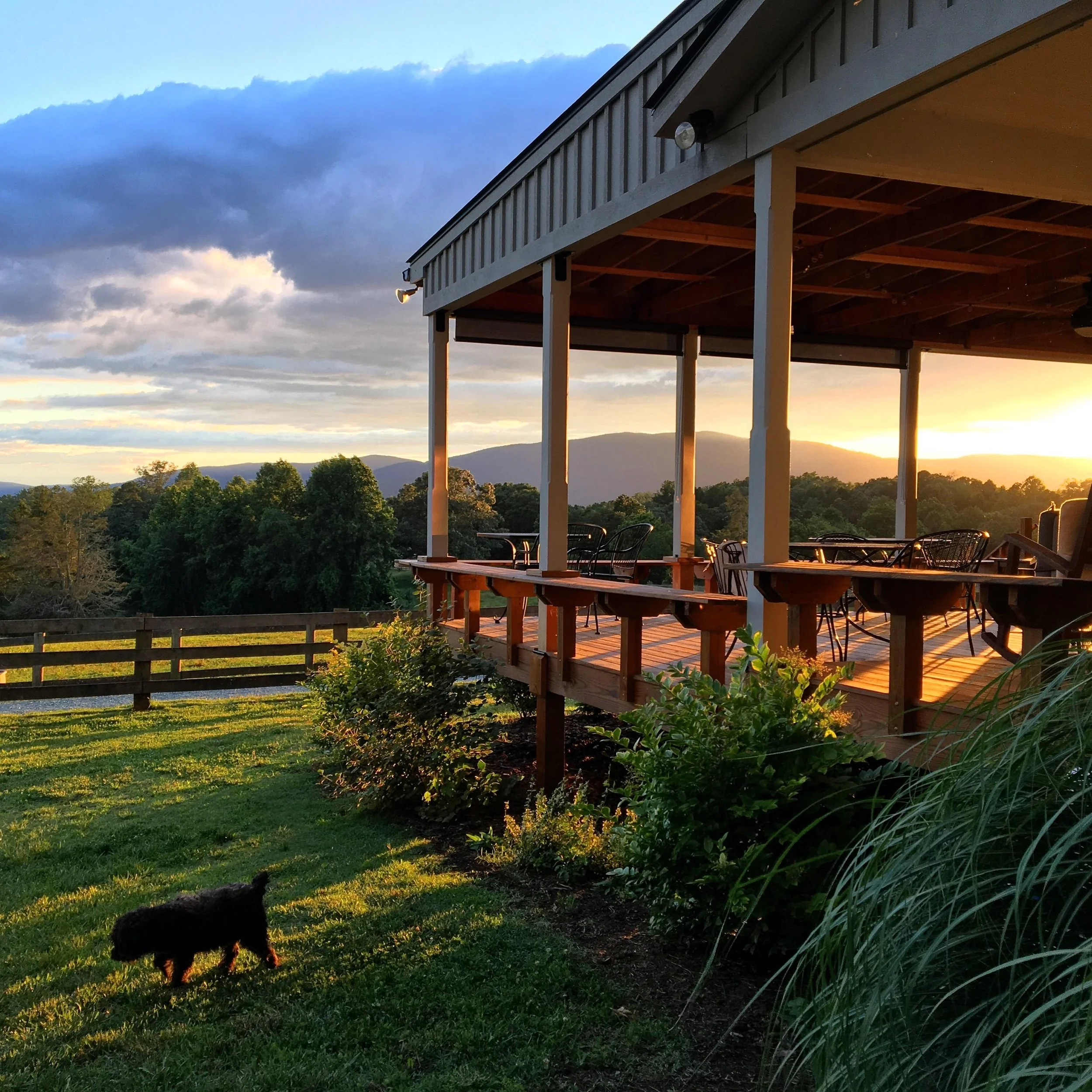 Knight's Gambit Vineyard