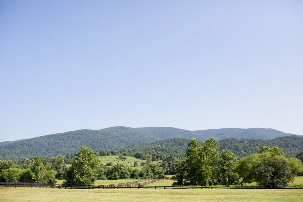 King Family Vineyard