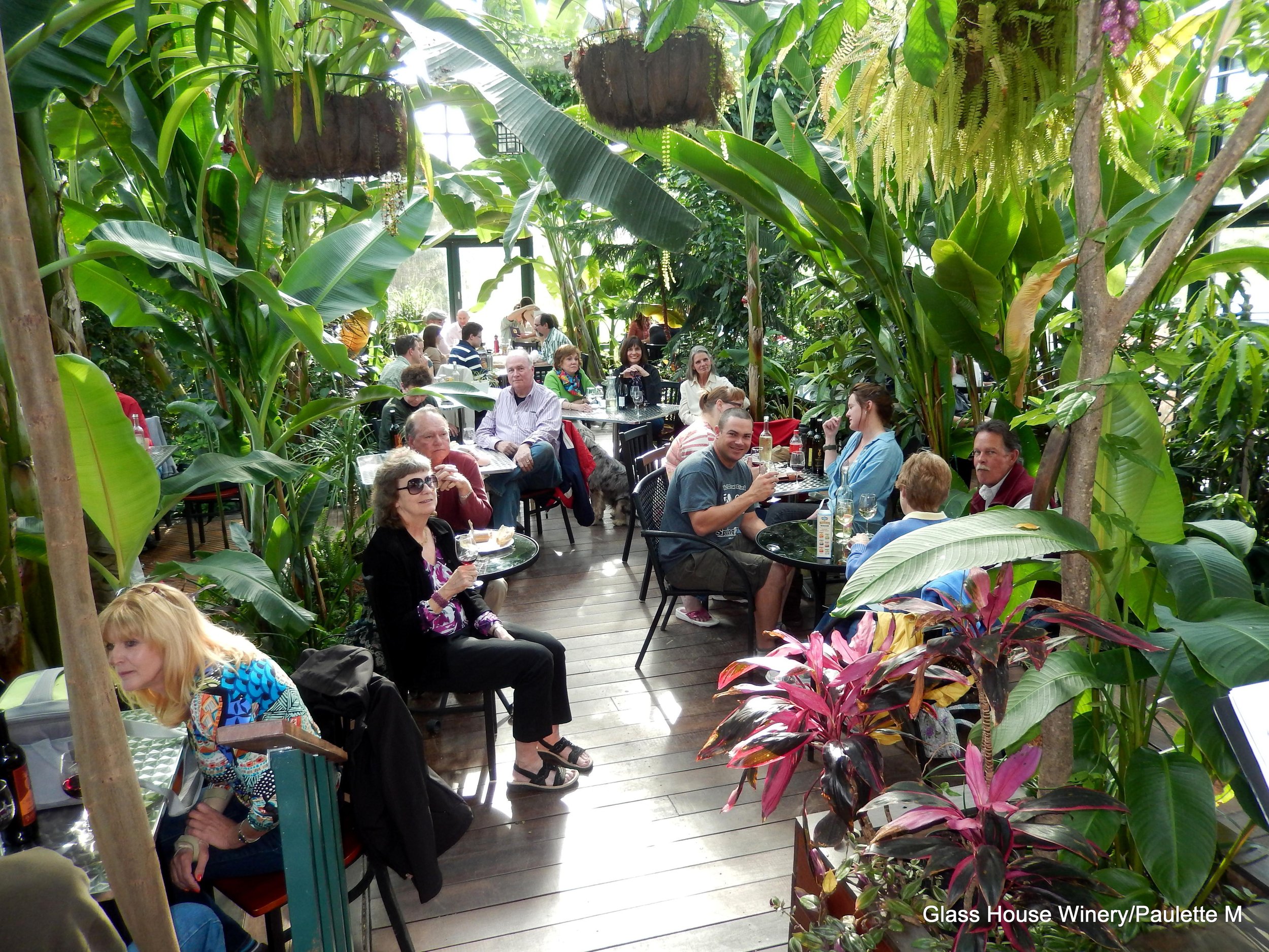 Glass House Winery and Brewery