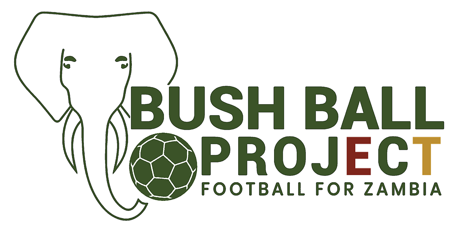  Bush Ball Project 