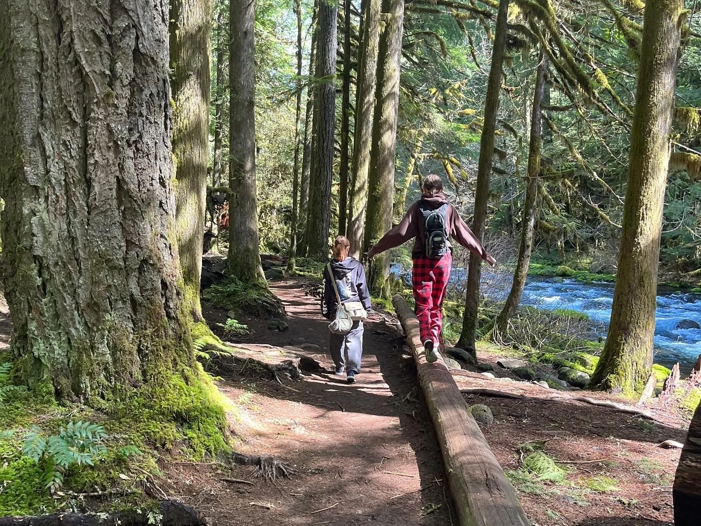 Women hiking together through a forest