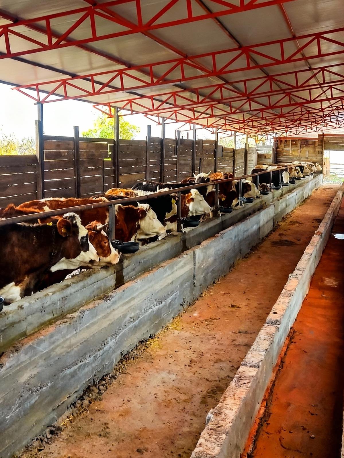 WhatsApp Image 2026-01-26 at 01.09.24.jpeg