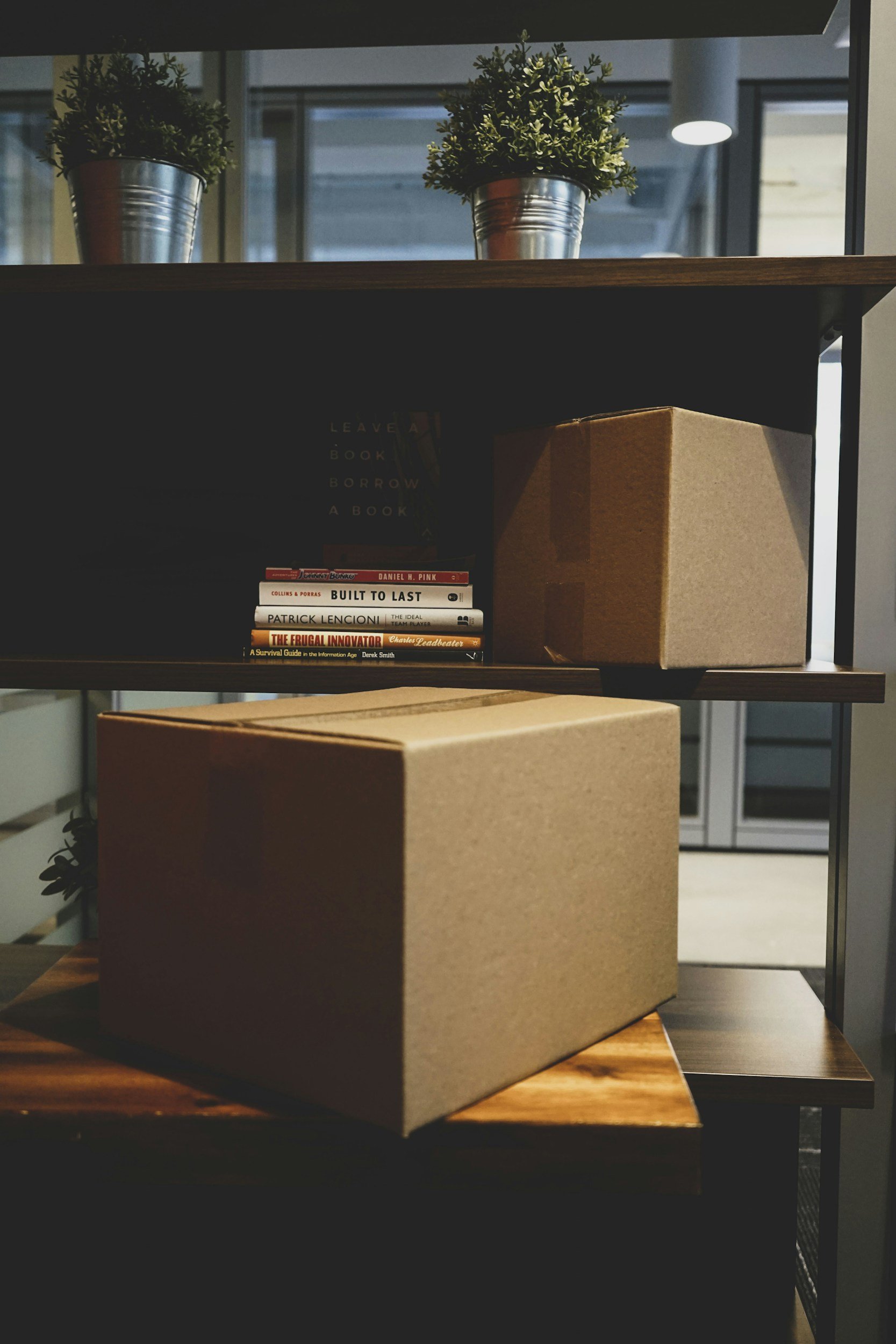 Books stacked on a shelf with two small potted plants on the top. Two large cardboard boxes are on the lower shelf.