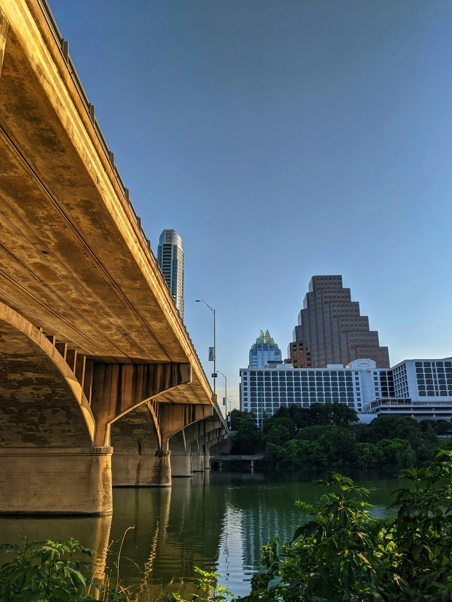 Cityscape with bridge over water, tall buildings, and trees in foreground, during daytime.